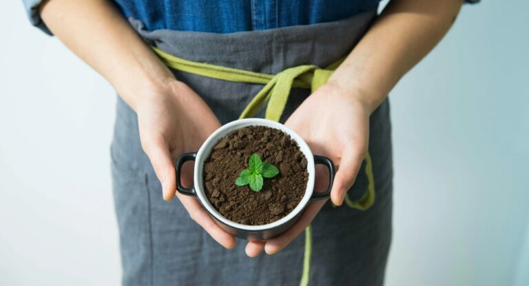 Person, Die Tasse Mit Grüner Pflanze Hält